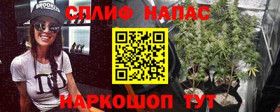 спайс Гусь-Хрустальный