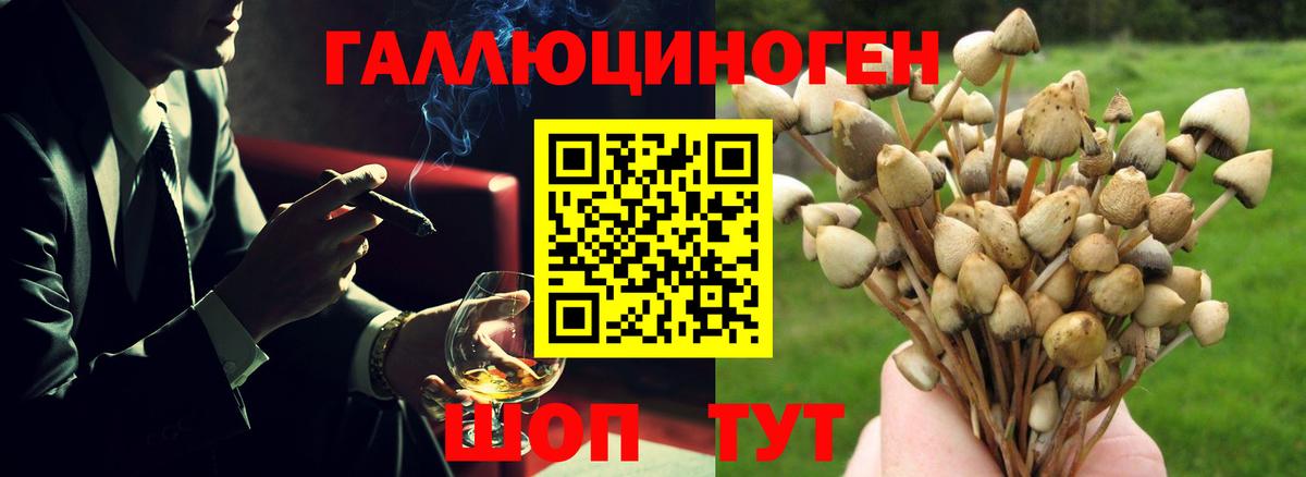 Галлюциногенные грибы Psilocybe  Вход с VPN  Наро-Фоминск 